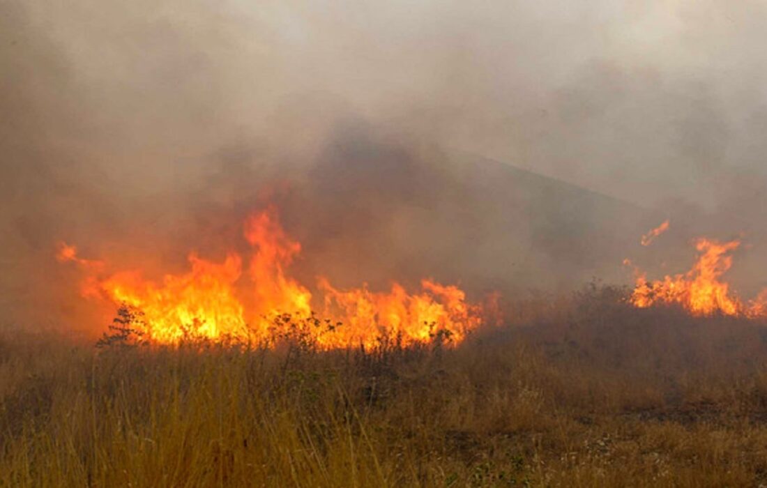 چند ساعت پس از وزش باد گرم؛ علفزارهای رشت یکی پس از دیگری می‌سوزند