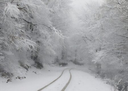 نفوذ سامانه بارشی به گیلان از فردا / احتمال بارش برف در جلگه