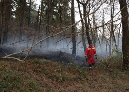 وزش باد گرم حضور ۲۴ ساعته آتش نشانان را در جنگل‌های گیلان رقم زد/مهار ۳۲ مورد آتش سوزی علفزار در رشت و حومه