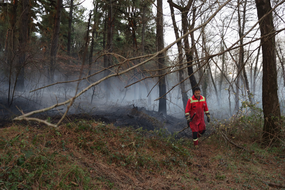 وزش باد گرم حضور ۲۴ ساعته آتش نشانان را در جنگلهای گیلان رقم زد/مهار ۳۲ مورد آتش سوزی علفزار در رشت و حومه