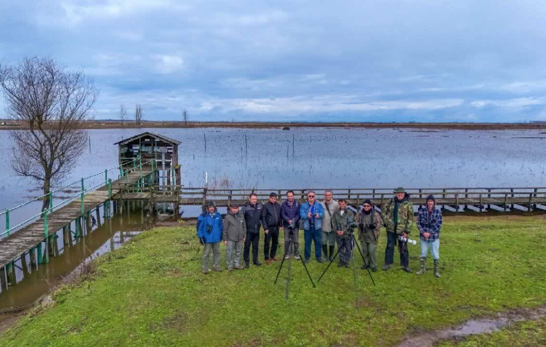 آغاز سرشماری پرندگان مهاجر آبزی با استفاده از فن‌آوری‌های نوین در گیلان