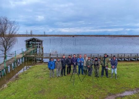 آغاز سرشماری پرندگان مهاجر آبزی با استفاده از فن‌آوری‌های نوین در گیلان