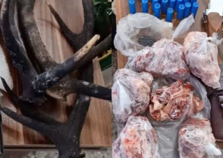 کشف لاشه گوزن قرمز و سلاح غیرمجاز در رودبار