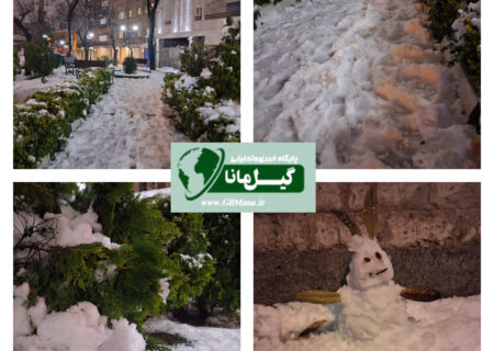 📸لباس سپید بر تن رشت
