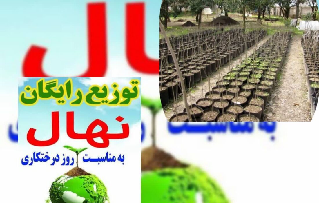 توزیع رایگان یک میلیون و ۲۰۰ هزار نهال در گیلان