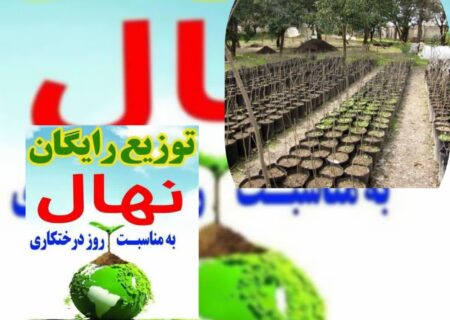 توزیع رایگان یک میلیون و ۲۰۰ هزار نهال در گیلان