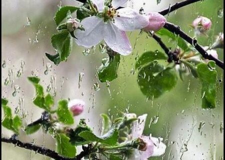 پیش بینی بارش‌های بیشتر از حد نرمال طی ماه‌های آینده در گیلان