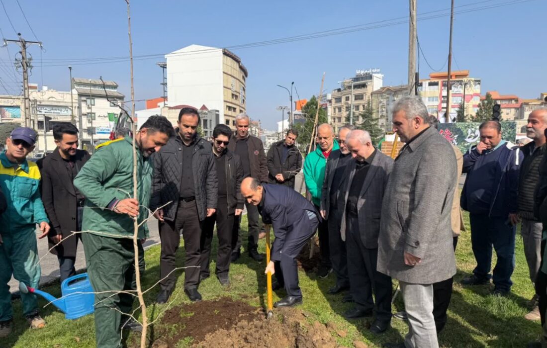 رشت در مسیر توسعه فضای سبز؛ آغاز کاشت درختان بومی در سطح شهر