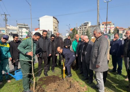 رشت در مسیر توسعه فضای سبز؛ آغاز کاشت درختان بومی در سطح شهر