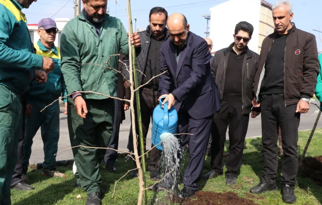 کاشت نهال از سوی استاندار گیلان به نیابت از امام شهید