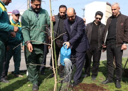 کاشت نهال از سوی استاندار گیلان به نیابت از امام شهید