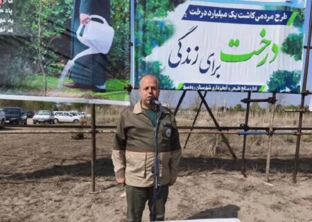 درختکاری در ۸۲ هکتار از سواحل گیلان