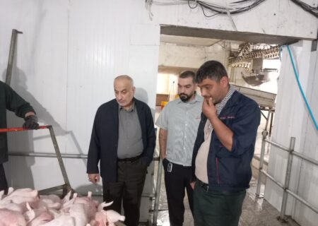 تشکیل پروندهٔ جریمه برای کشتارگران مرغ در سیاهکل و صومعه‌سرا