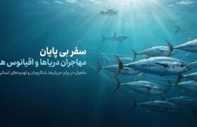 سفر بی‌‌پایان در شاهرگ‌های آبی؛ تداوم حیات در گرو رودخانه‌های آزاد