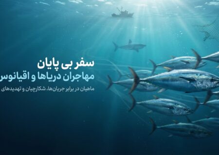 سفر بی‌‌پایان در شاهرگ‌های آبی؛ تداوم حیات در گرو رودخانه‌های آزاد