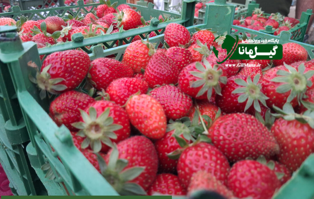 📸بازارچه هفتگی روستای صوفیانده صومعه‌سرا
