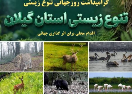 اقدام محلی، اثرگذاری جهانی؛ گیلان گنجینه‌ای از تنوع زیستی ایران + فیلم