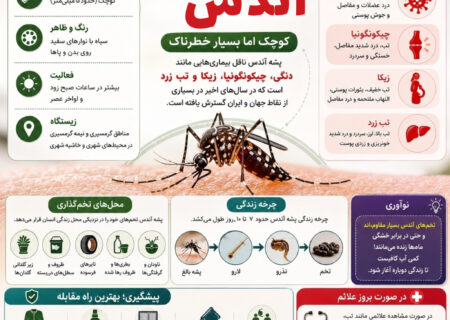 اینفوگرافیک | پشه آئدس؛ کوچک اما خطرناک