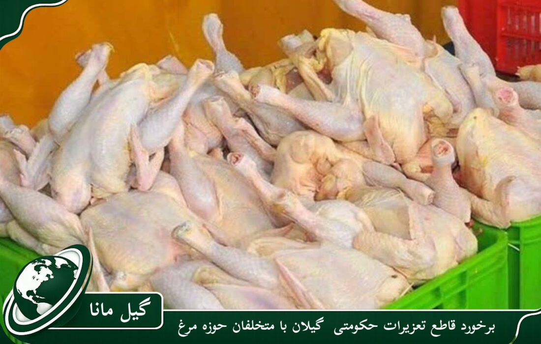 برخورد قاطع تعزیرات حکومتی گیلان با متخلفان حوزه مرغ