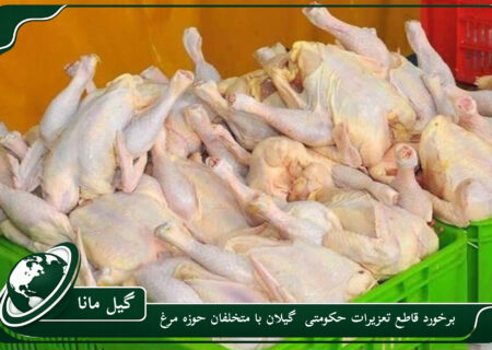 برخورد قاطع تعزیرات حکومتی گیلان با متخلفان حوزه مرغ