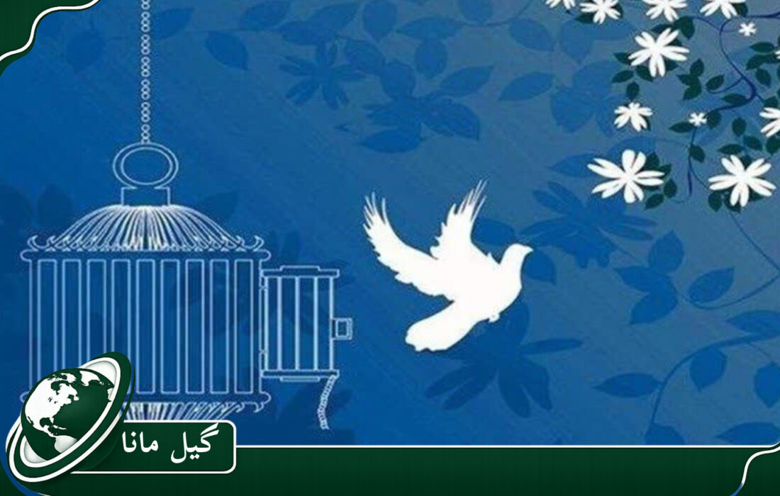 رهایی یک متهم محکوم به قصاص پس از تحمل ۵ سال حبس