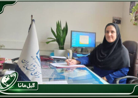 گامی در توسعه صنعت فرش؛ آموزش تخصصی ۶۰ قالیباف گیلانی