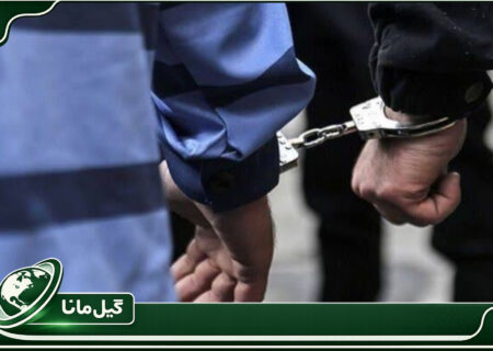 کشف گسترده مواد مخدر، احتکار و دستگیری متهمان در عملیات‌های پلیس گیلان