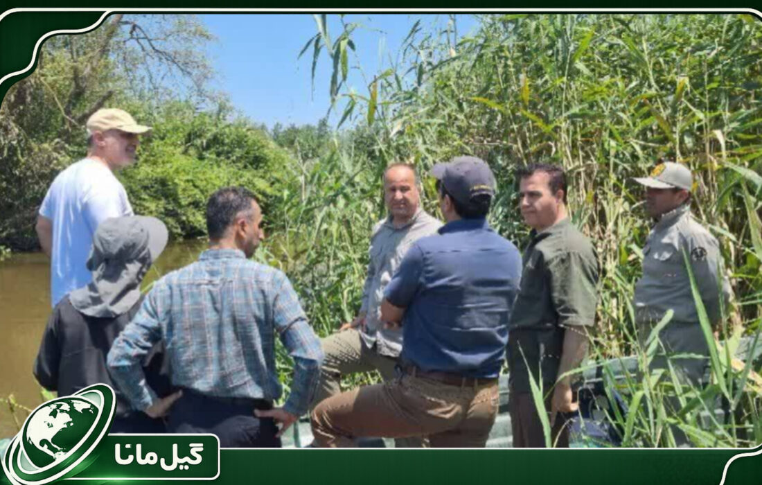 مدیریت اضطراری آب در تالاب انزلی کلید خورد