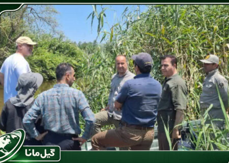 مدیریت اضطراری آب در تالاب انزلی کلید خورد