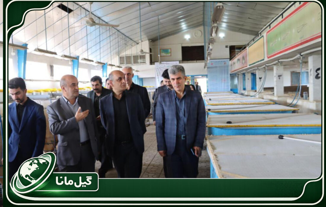 تقویت مراکز بازسازی، کلید احیای آبزیان خزر