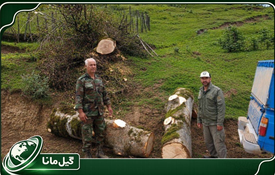 قاچاق چوب در لیسار ناکام ماند