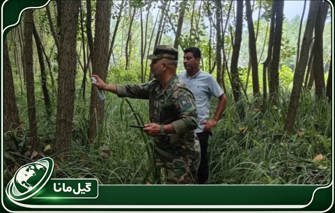 بازپس گیری حدود یک هکتار اراضی ملی در خمام