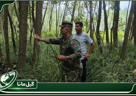بازپس گیری حدود یک هکتار اراضی ملی در خمام