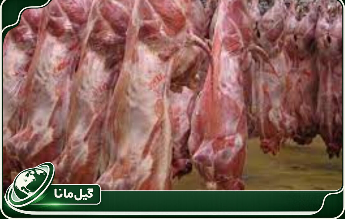 تولید ۷.۵ هزار تنی گوشت قرمز در گیلان