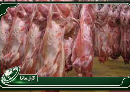 تولید ۷.۵ هزار تنی گوشت قرمز در گیلان