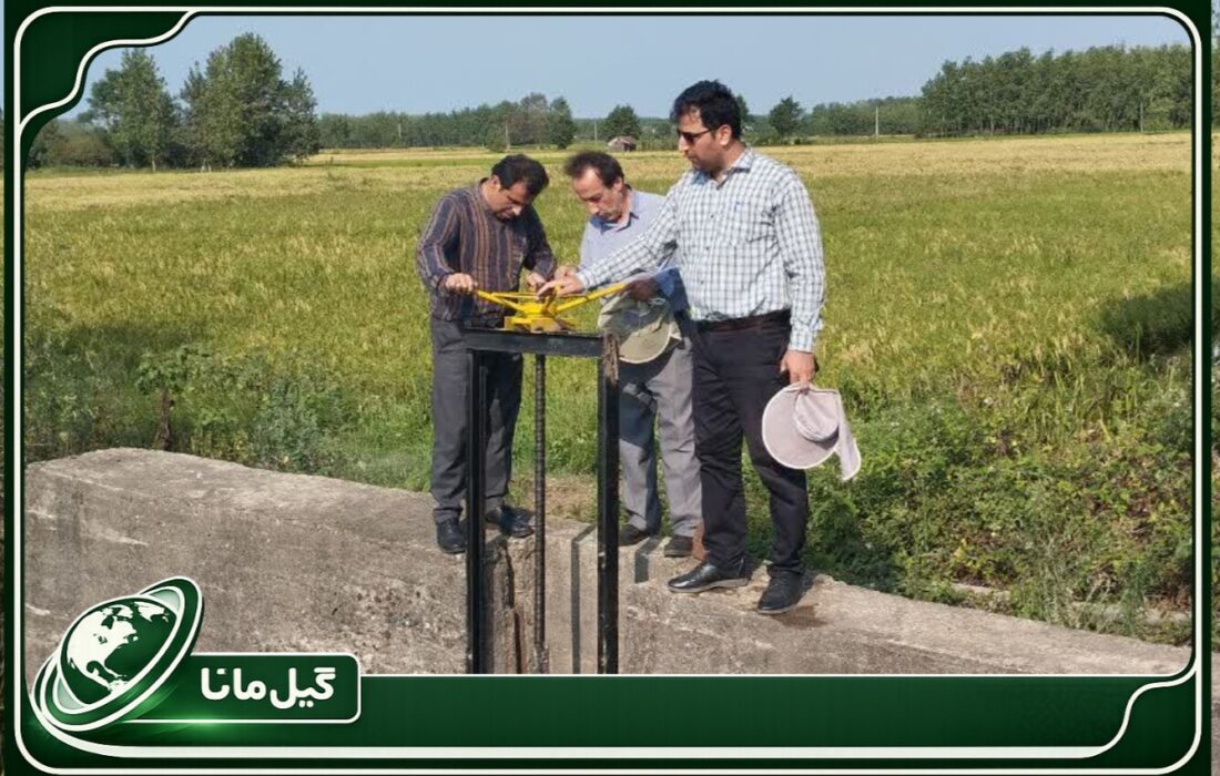 با نصب دو دریچه تنظیمی؛ هدایت آب به تالاب غرب انزلی شتاب گرفت؛ گام تازه برای افزایش ماندگاری آب در تالاب