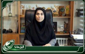 روایت گیلان با زبان هنر؛ دعوت از هنرمندان برای خلق آثار بومی