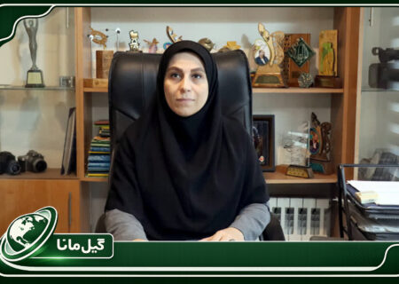 روایت گیلان با زبان هنر؛ دعوت از هنرمندان برای خلق آثار بومی