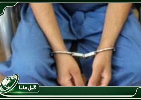 ۲۳ وسیله نقلیه سرقتی در تور عملیاتی پلیس آگاهی گیلان