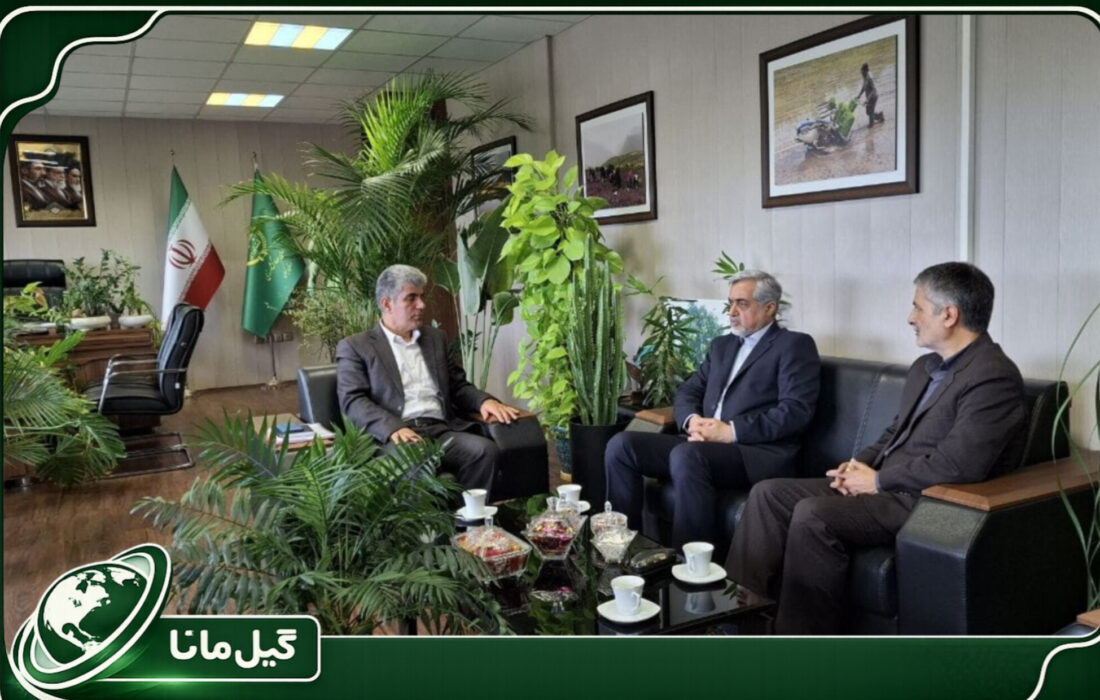 توسعه کشت دوم در اراضی کشاورزی رشت روی میز بررسی