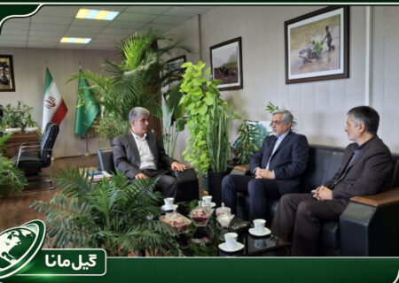 توسعه کشت دوم در اراضی کشاورزی رشت روی میز بررسی